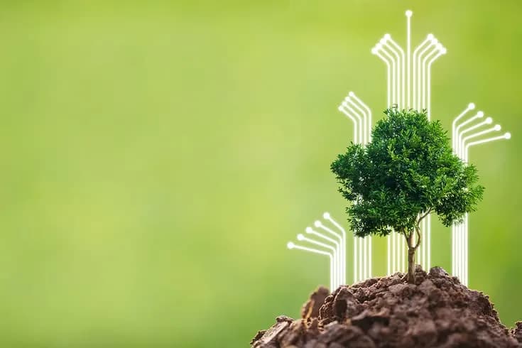 Sustainability analytics in action