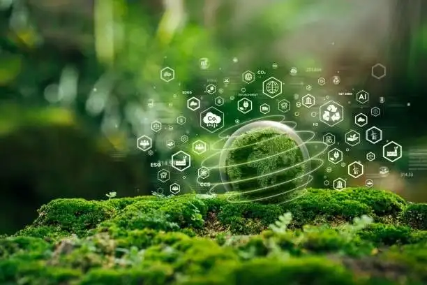 Environmental Impact Assessment